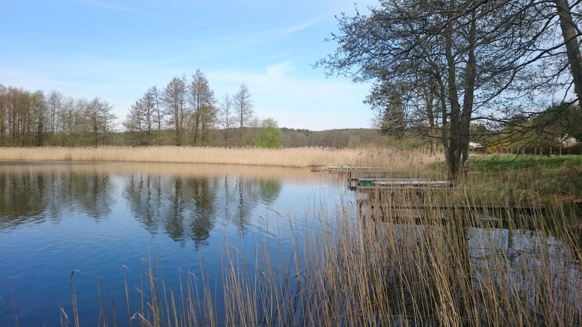 Idyll Im Land Der 1000 Seen Liessow  Esterno foto