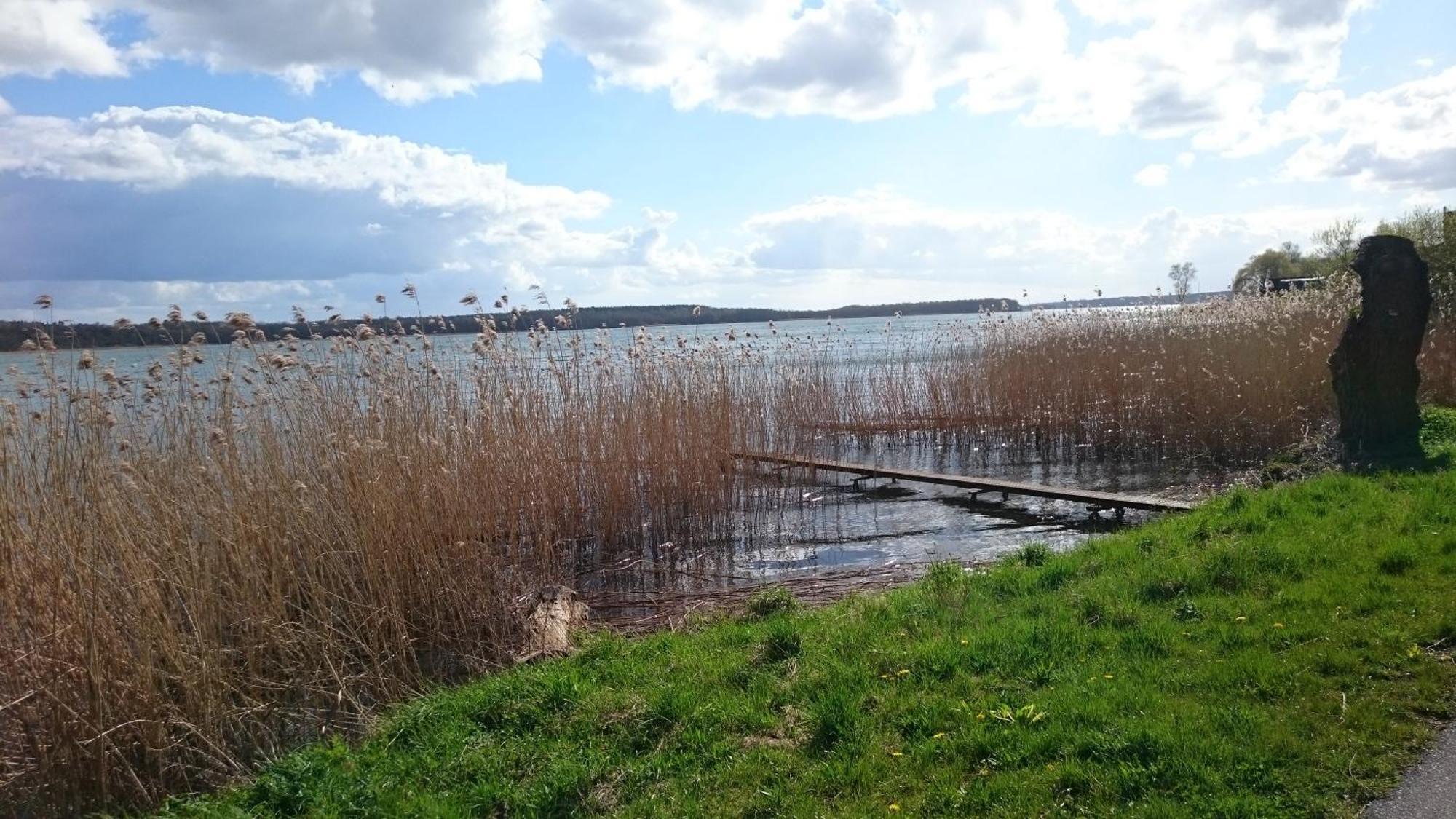 Idyll Im Land Der 1000 Seen Liessow  Esterno foto